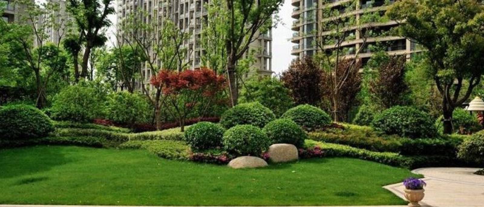 金年会园林绿化苗木基地实景轮播图