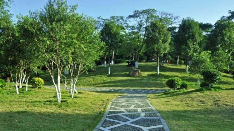 五子棋禁手规则详解:黑棋为什么不能走双三